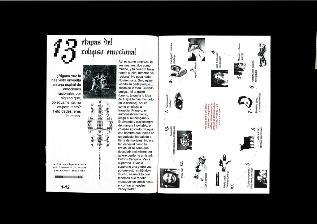 Fanzine Crush, Cry, Repeat